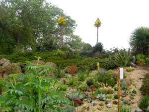 Arboretum